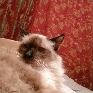 Meet your Posher, Vicki